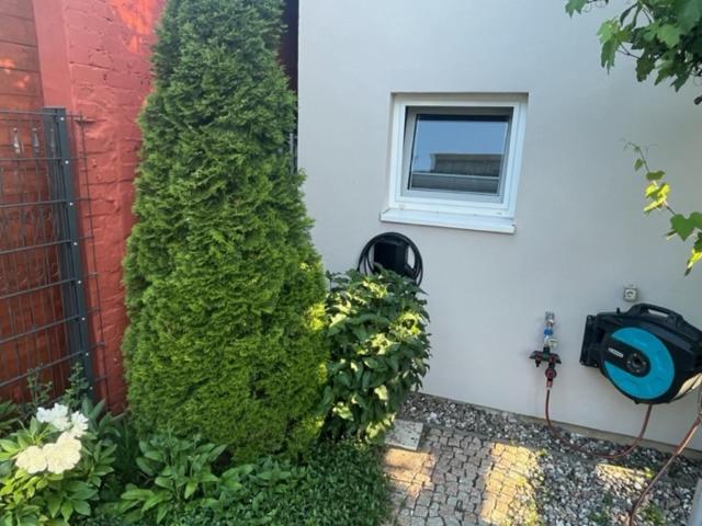 נויברנדנבורג Fewo Mit 3 Sz, Direkte Innenstadtlage, Suedterrasse, Parkplatz Auf Dem Eigenem Privatgrundstueck, 2X E-Bike Und E-Autoladesaeule Inklusive, Konzertkirche, Schauspielhaus, Fh, Jahnsportforum Sowie Der Tollensesee Sind Fusslaeufig In Ein Paar Minuten E מראה חיצוני תמונה